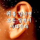 귀를 잡아 당겨라 이미지