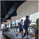 월드원짐 이미지