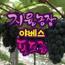지율농장