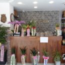 행복조류사 이미지