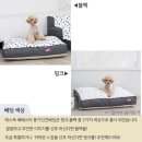 에스독하우스 이미지
