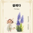 마음여행 이미지