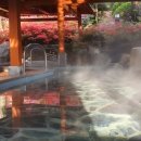 옥찜질방 | 속초 척산온천휴양촌 알칼리 온천 체험-숙박 정보·노천탕·찜질방 총정리