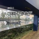 구영로 | 태화강생태관 소개 및 후기 어른 아이 모두 즐거운 울산 실내 꼭 가봐야 하는 곳