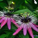 둥지 몸짓의 보금자리 이미지