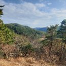 삶 - 관조 이미지