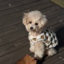 덕영대로639번길 이미지
