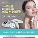 셀빅스