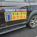 돌핀크린 이미지