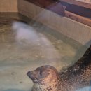 여우도토리 | 2박3일 순천여행 순천만국가정원 순천드라마촬영장 동천수변공원 나눌터 해화정 정희순천점 남녘들밥상