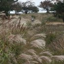 햇살목장 이미지