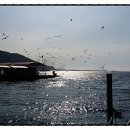 김진영행정사사무소 이미지