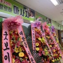 알로하청주