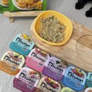 동그랑댕 | 명절 느낌 한상차림! 듀먼 강아지화식 자연화식 10종 + 한입동그랑댕 강아지간식 후기