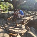 하이난아일랜드 이미지