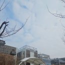 장지천 화장실 이미지