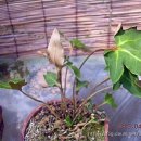 고란농장 이미지