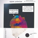 광물학 5: 광학 광물학 5.4: 석유 현미경 5.4.2: 평면(PP) 편광 및 교차 편광(XP) 조명 이미지