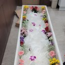 성심 부분정비 | 강동성심병원 장례식장 아버님을 모시며 알뜰 상조 이용후기