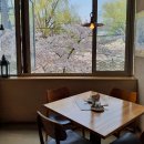 스미스앤모바일(주) | 수성못 벚꽃 맛집 라마앤바바나 호불호 없는 레스토랑