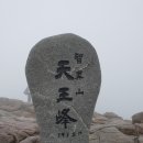 수림화원 - 용산구 회나무로44길 50 | 수림화원