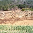 분청사기요지 이미지