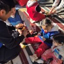 소원유치원 | 이렇게 핫할 일이야? 마시멜로 먹고, 꼬리 잡고! 에너지 만렙 글램핑 문화축제 후기🌻⛺/목포유치원추천