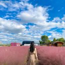 궁1리마을회관 이미지