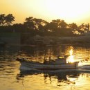 대양초교 이미지