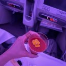A380 | 에미레이트 비즈니스 A380 후기 기내식 라운지 잠옷 어매니티까지 총정리!