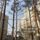 다산클터부동산공인중개사사무소 이미지