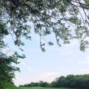 라온 이미지