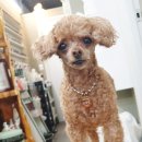 레드문 뷰티 이미지