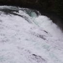 (주)보우 이미지