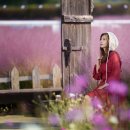 바람새마을 이미지