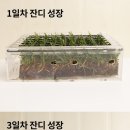 주식회사 생태경영연구원 네이버블로그