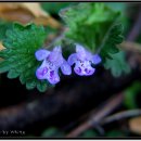 사월농장 이미지