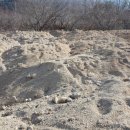 개토농장 이미지