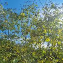 (유)농업회사법인 가림농산 이미지