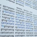 공주시청(별관 2) 이미지