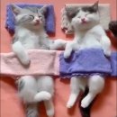 아이예뻐 이미지