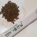소공메뷰티마켓