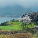 하이골프 | 베트남골프 3색명문 하노이골프장 롱비엔CC 치린스타CC 탕란CC 하이랜드CC 골프패키지 정보 라운딩후기