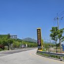 포천가볼만한곳 한탄강 Y형출렁다리 지질공원 비둘기낭폭포 봄가든페스타