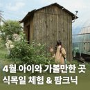 찰익은토마토농장 | 4월 아이와 식목일 가볼만한 곳 & 어린이 체험 BEST 4: 트리하우스 화분 체험, 파머스리빙 팜크닉...
