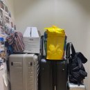 11545-10-15-11 | [공지] 초등아이와 유럽여행 : 프랑스행 아시아나 스마티움, 15시간 비행 후기 ✈️