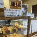 [의정부] 신상 베이커리 카페 ‘칵투스베이커리’ 내돈내산 후기