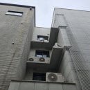 비둘기2길 이미지