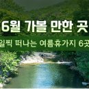 여름이네 티스토리
