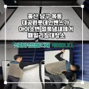 베이동물병원 | 울산매트리스청소 패밀리침대청소 아이소변 얼룩냄새 케어 후기